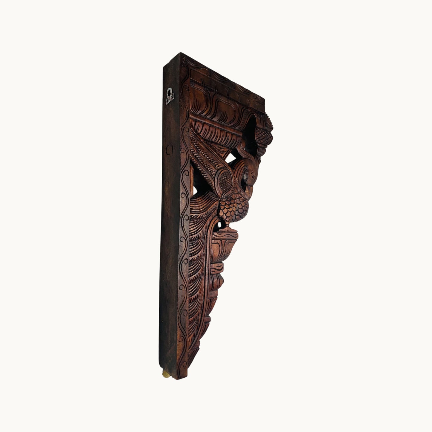 Thar Arts And Furniture - 24" Parrot Bracket