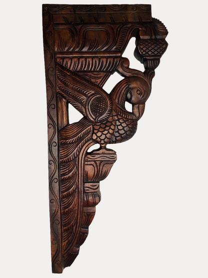 Thar Arts And Furniture - 24" Parrot Bracket