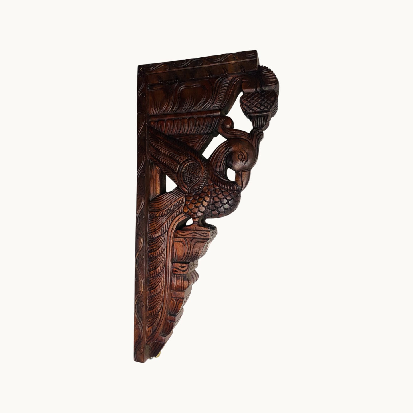 Thar Arts And Furniture - 24" Parrot Bracket
