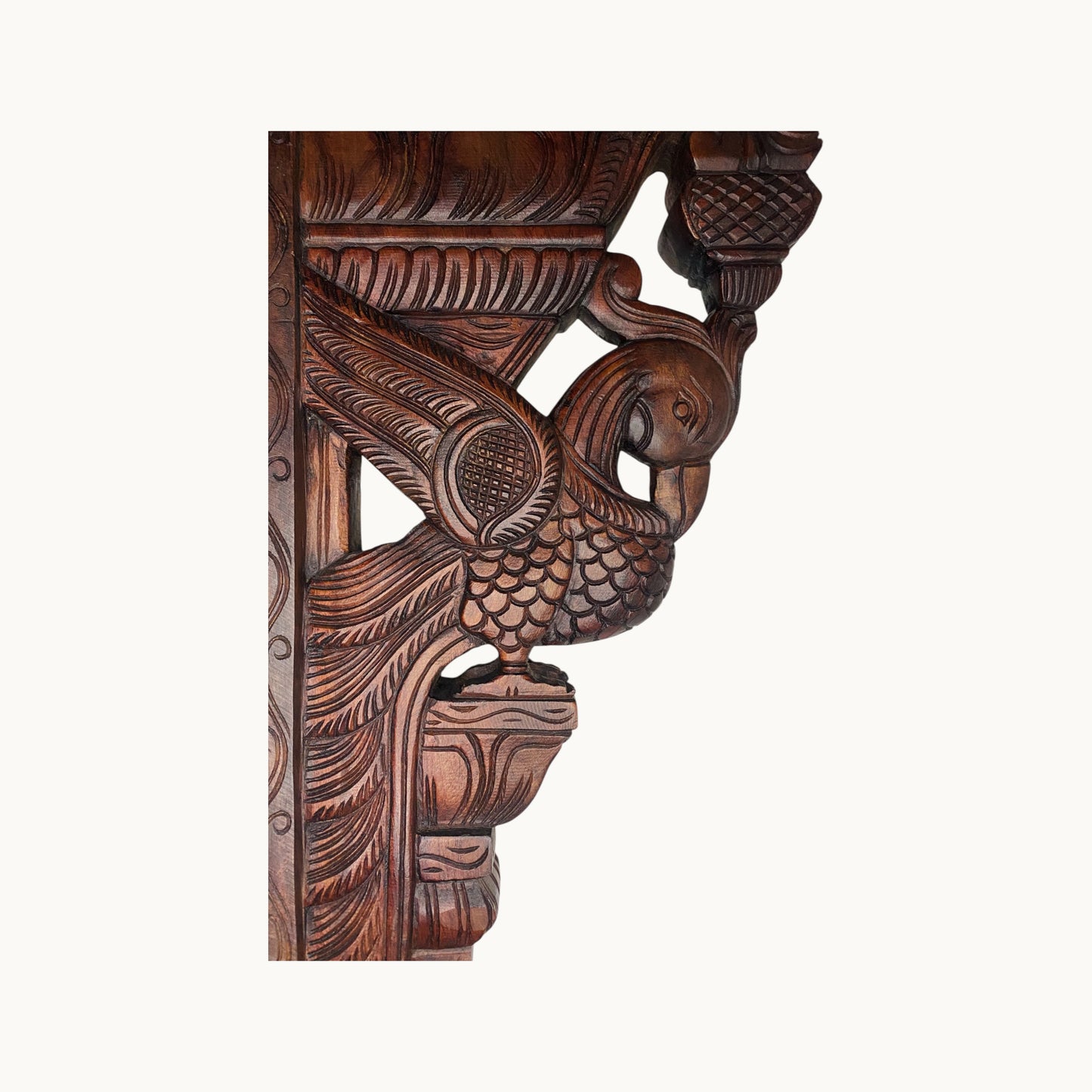 Thar Arts And Furniture - 24" Parrot Bracket