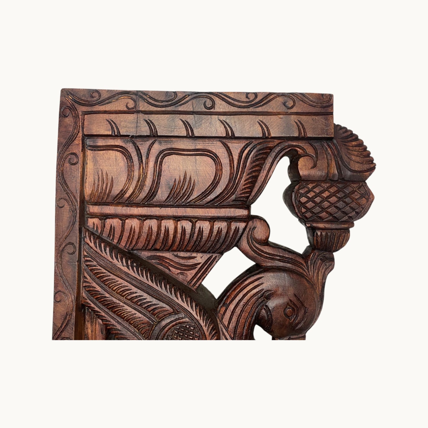 Thar Arts And Furniture - 24" Parrot Bracket