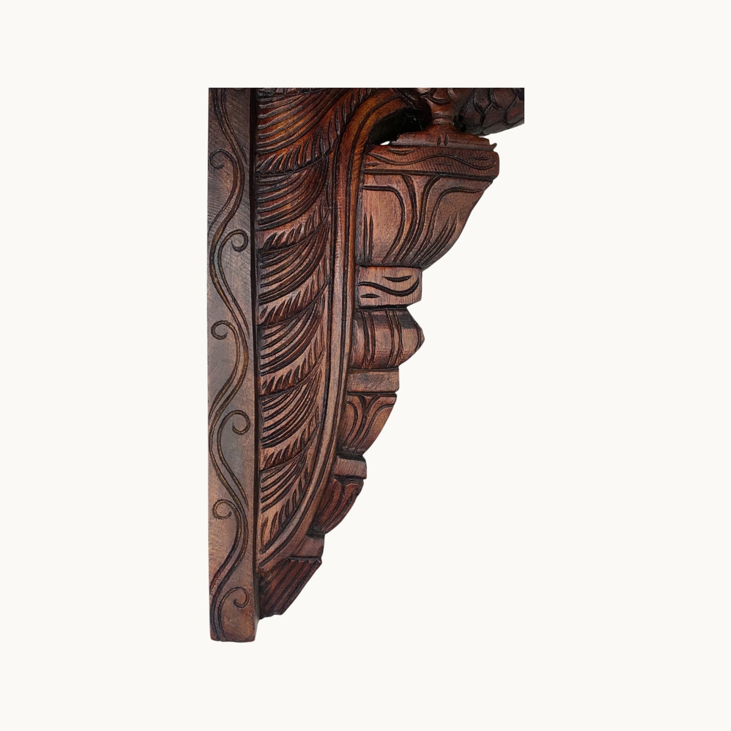 Thar Arts And Furniture - 24" Parrot Bracket