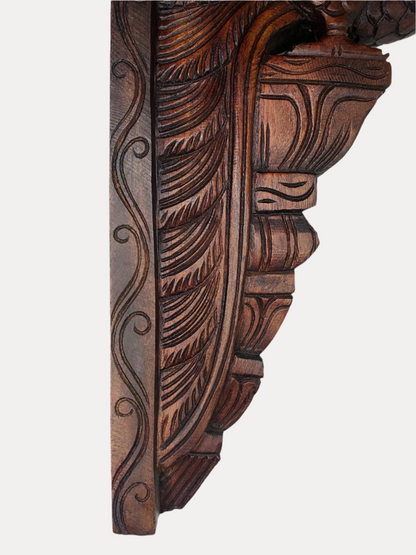 Thar Arts And Furniture - 24" Parrot Bracket