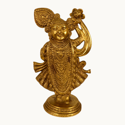 Thar Arts And Furniture - Brass Srinathji
